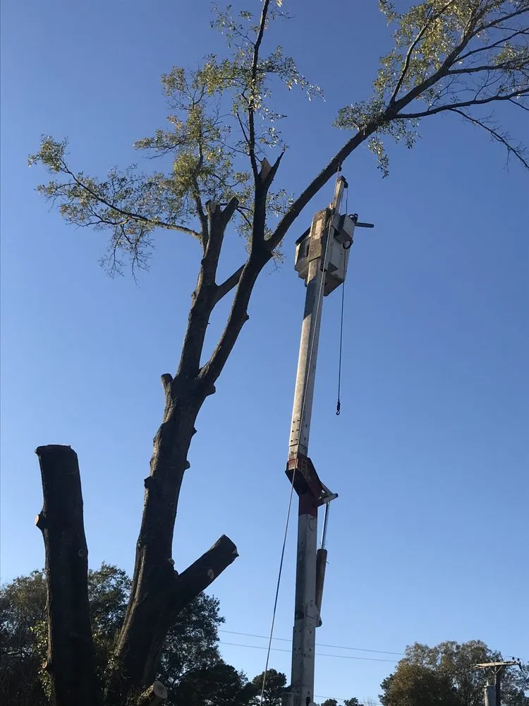Trusted residential landscaping in Gladewater, TX - SM Tree Service