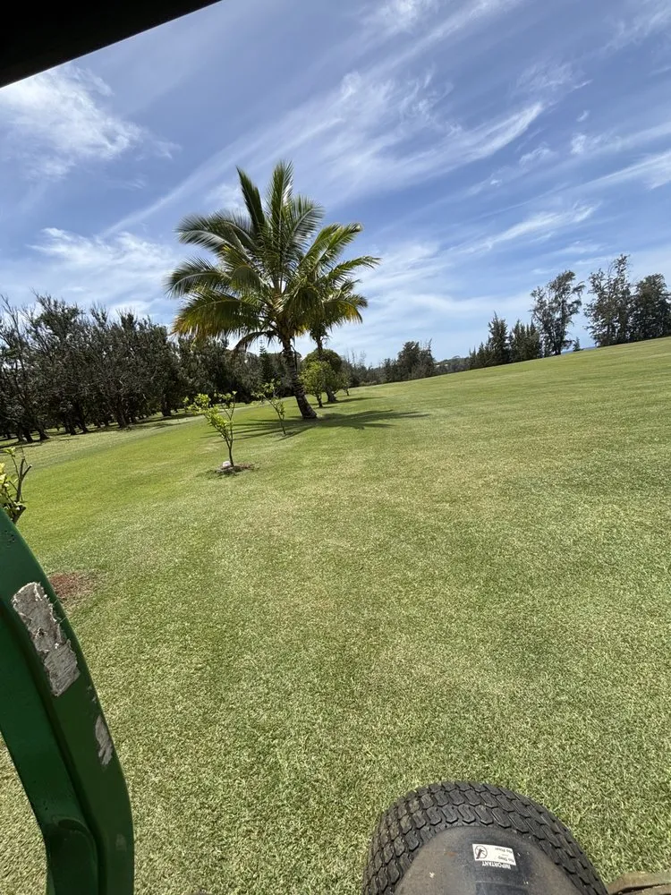 Top-rated residential landscaping in Hilo, HI by S&M Yard Services