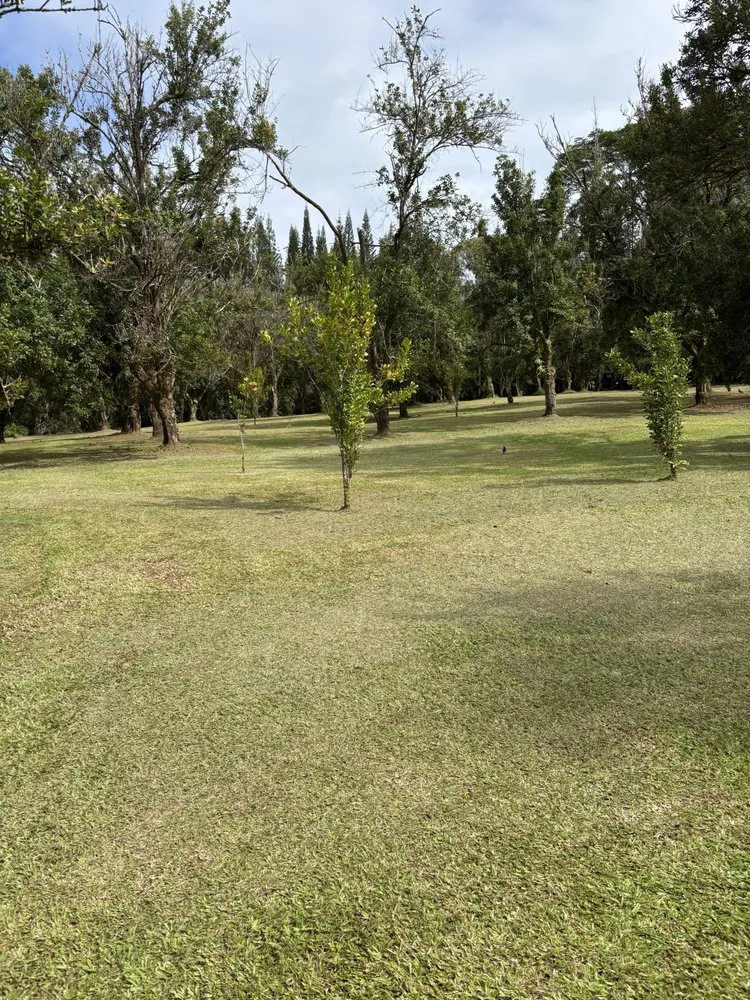 Expert lawn mowing service in Hilo, HI by S&M Yard Services