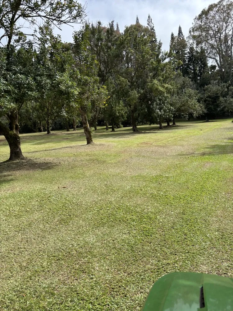 Trusted residential landscaping in Hilo, HI by S&M Yard Services