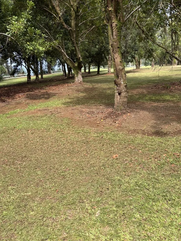 Custom yard cleanup service for residential properties across Hilo, HI - S&M Yard Services