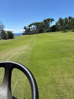 S&M Yard Services Logo