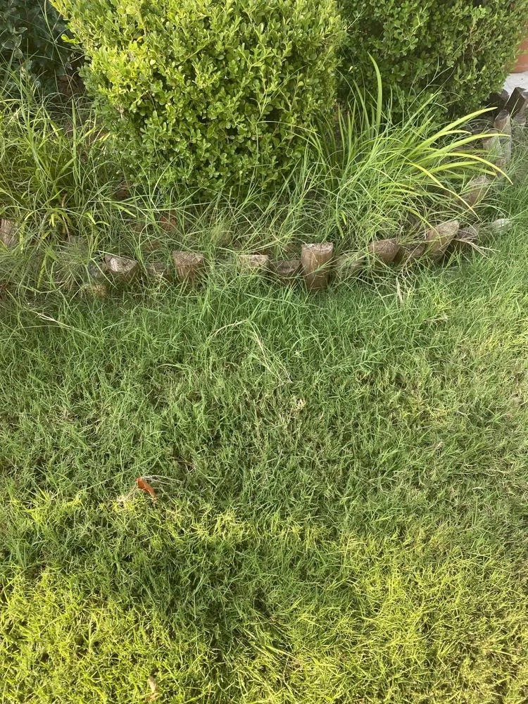 Trusted lawn care service with custom design in Fort Worth, TX by SMAC Lawn Service