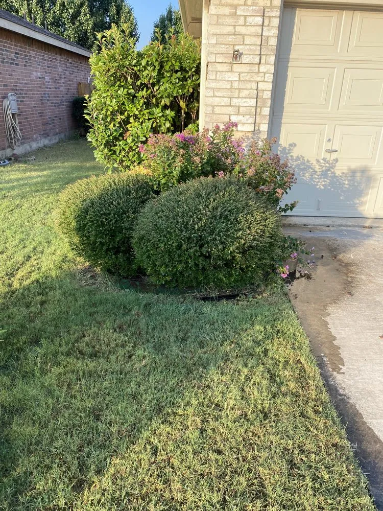 Reliable landscaping services for residential properties in Fort Worth, TX by SMAC Lawn Service