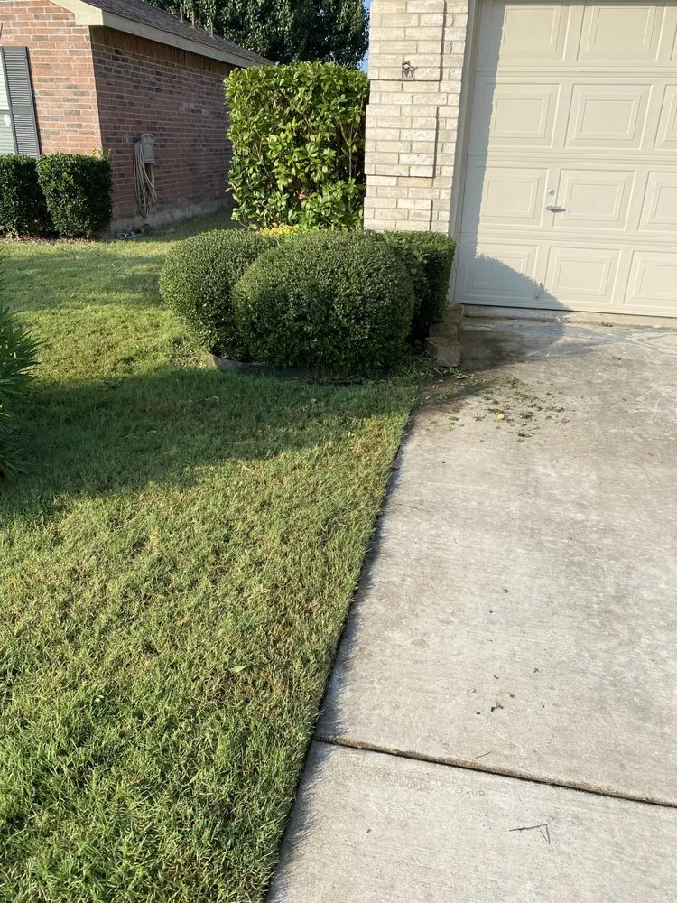 Professional yard cleanup service in Fort Worth, TX - SMAC Lawn Service