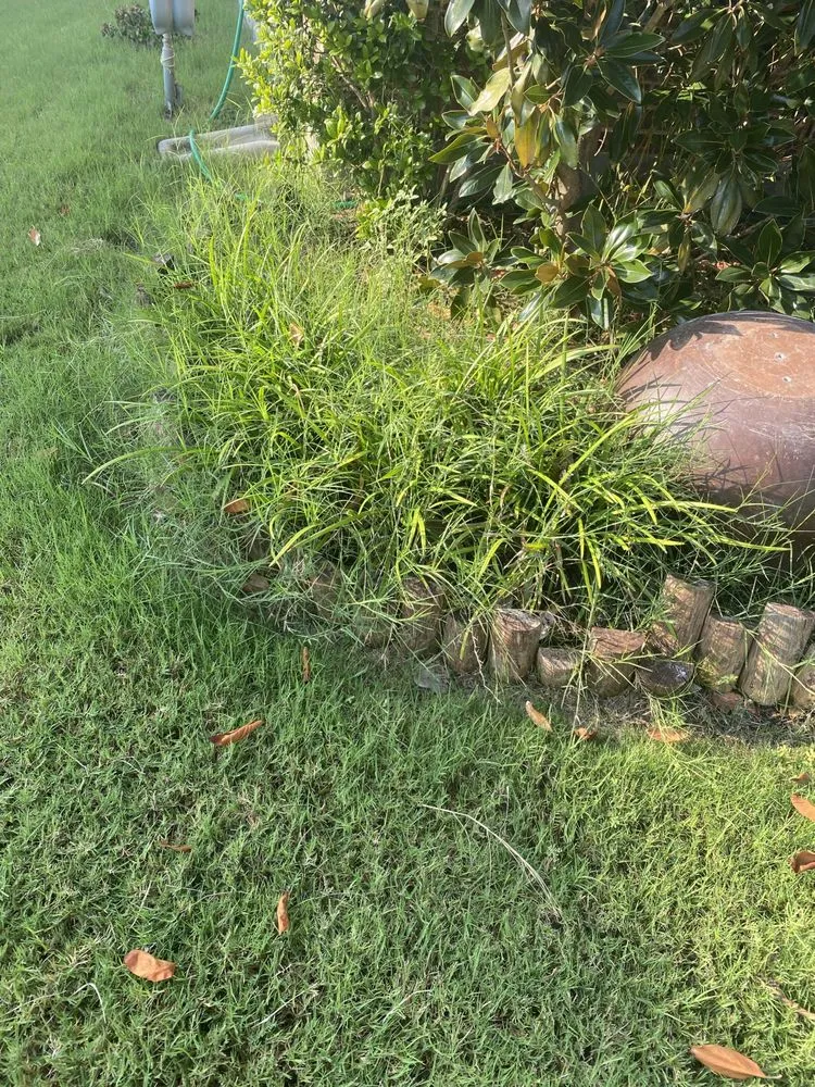 Professional landscape design for homes in Fort Worth, TX by SMAC Lawn Service