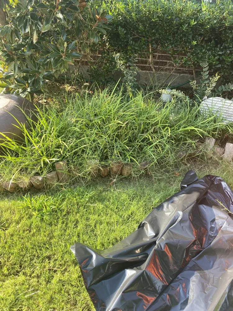 Professional yard cleanup service in Fort Worth, TX - SMAC Lawn Service