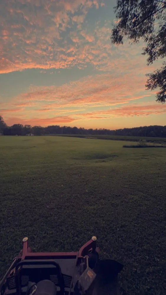 Custom yard maintenance for outdoor upgrades across Athens, AL - Small An Big Landscaping