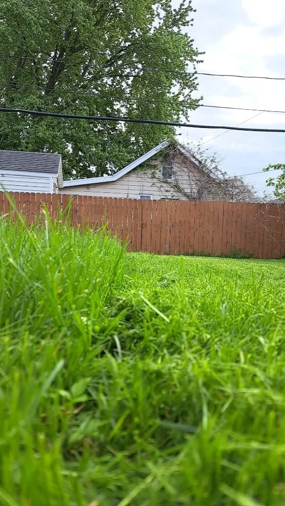 Expert landscape design for year-round maintenance across Monroe, MI - Small Cuts Landscaping