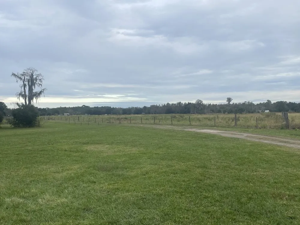 Expert garden landscaping for year-round maintenance in Lake Panasoffkee, FL by Small Giant Cleaning Services