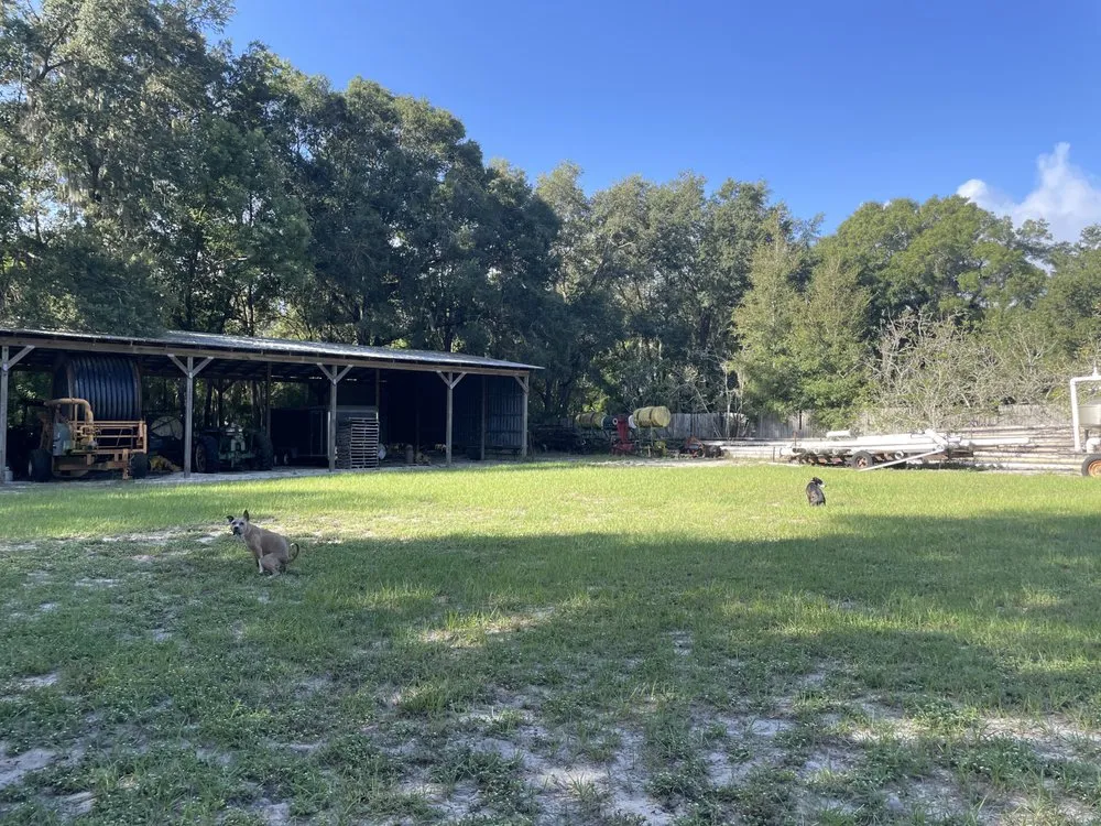 Trusted landscape installation in Lake Panasoffkee, FL by Small Giant Cleaning Services