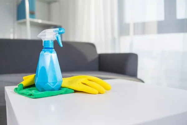 Small Giant Cleaning Services
