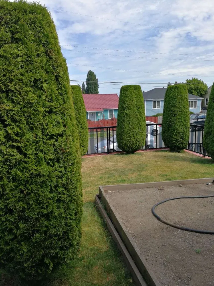 Top-rated residential landscaping in Kent, WA by Small Guy Landscaping & Junk Removal