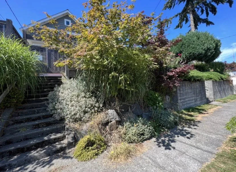 Affordable outdoor landscaping for beautiful yards across Kent, WA - Small Guy Landscaping & Junk Removal