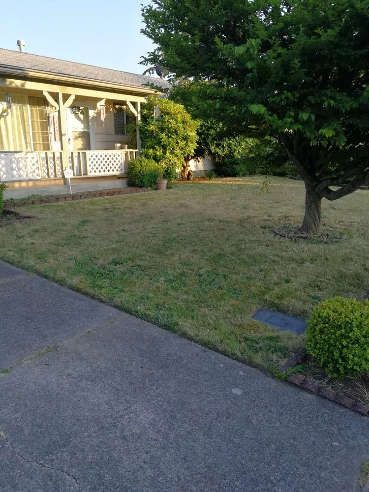 Local garden landscaping for beautiful yards in Kent, WA by Small Guy Landscaping & Junk Removal