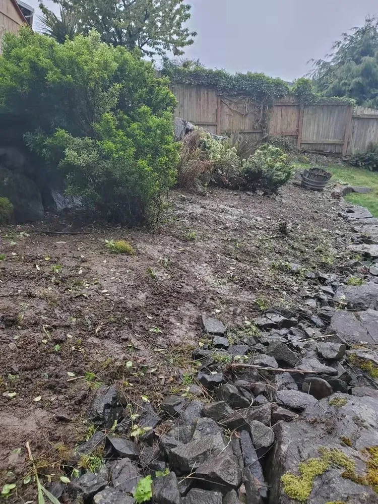 Reliable yard maintenance near you across Kent, WA - Small Guy Landscaping & Junk Removal