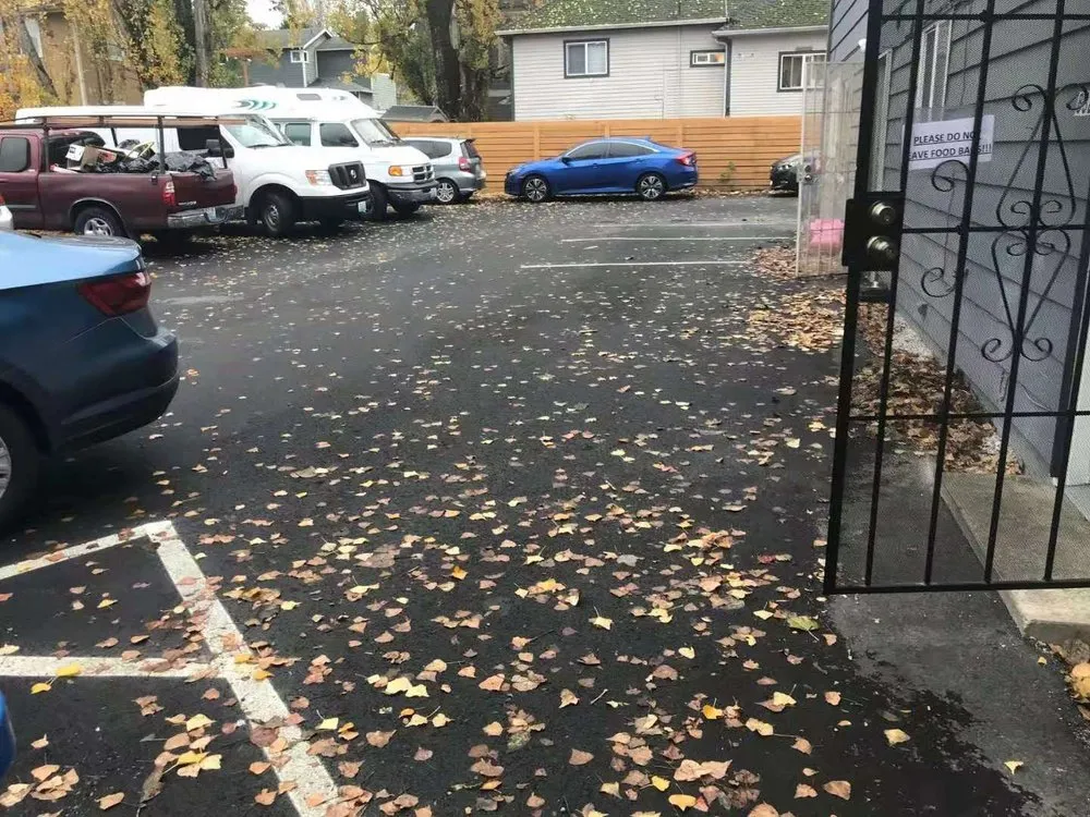 Expert landscape installation for year-round maintenance across Kent, WA - Small Guy Landscaping & Junk Removal