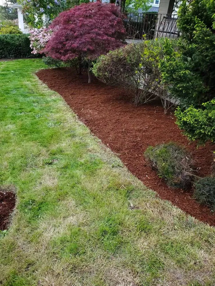 Reliable lawn mowing service in Kent, WA - Small Guy Landscaping & Junk Removal