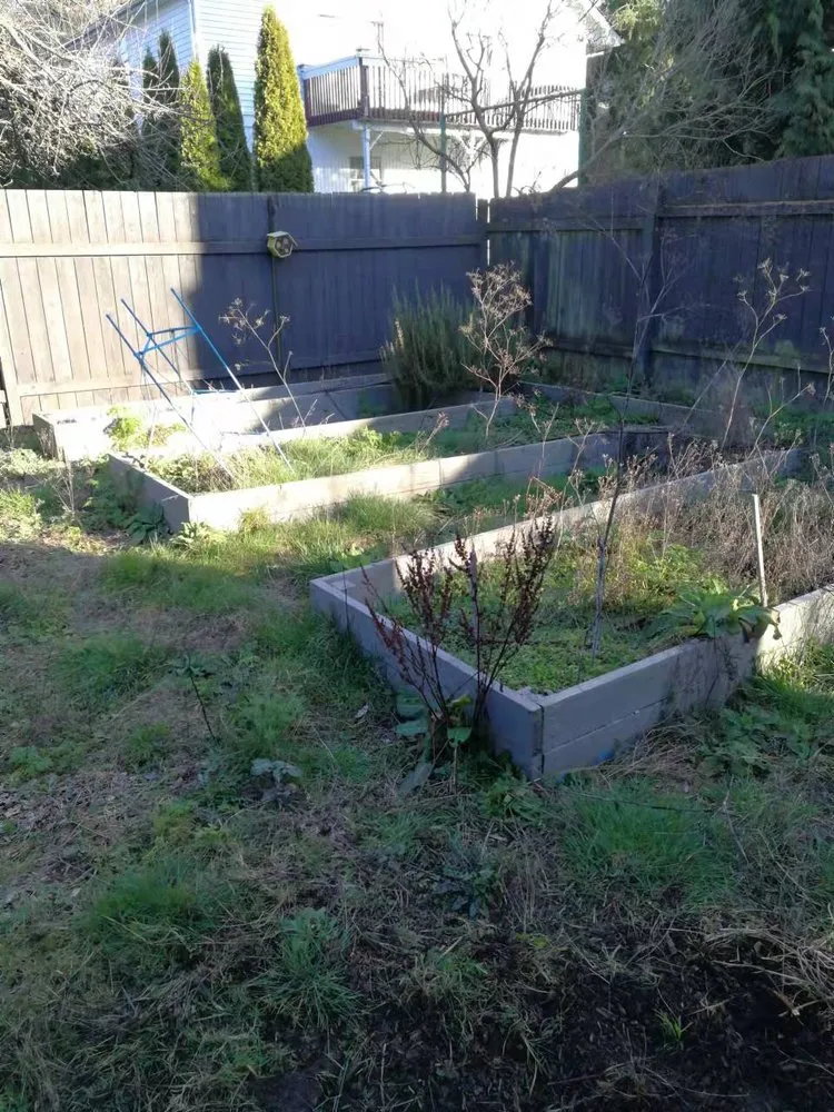 Top-rated outdoor landscaping experts serving Kent, WA - Small Guy Landscaping & Junk Removal