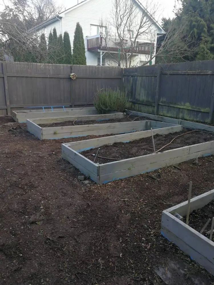 Trusted outdoor landscaping for outdoor upgrades across Kent, WA - Small Guy Landscaping & Junk Removal