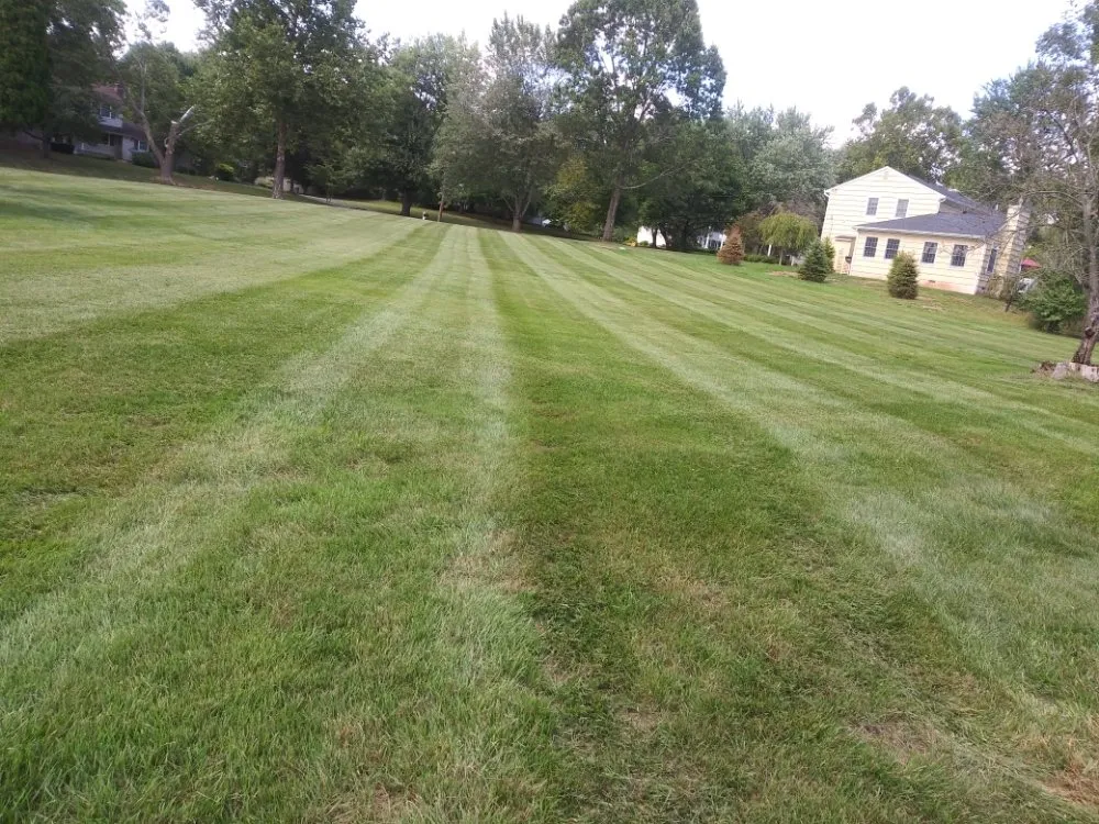 Trusted garden landscaping in Flemington, NJ - Small Landscaping