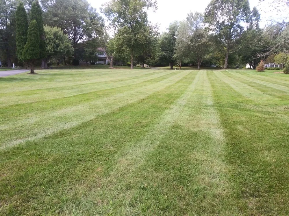 Professional garden landscaping near you across Flemington, NJ - Small Landscaping