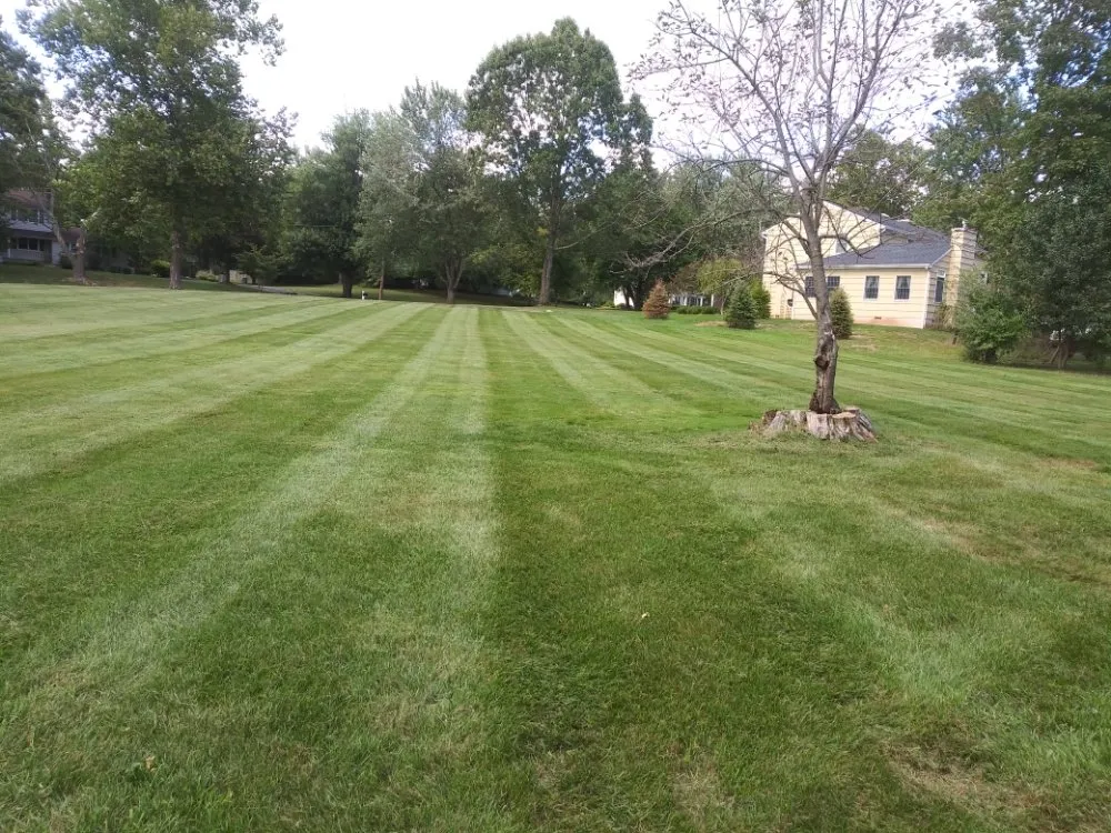 Top-rated landscaping services near you in Flemington, NJ by Small Landscaping