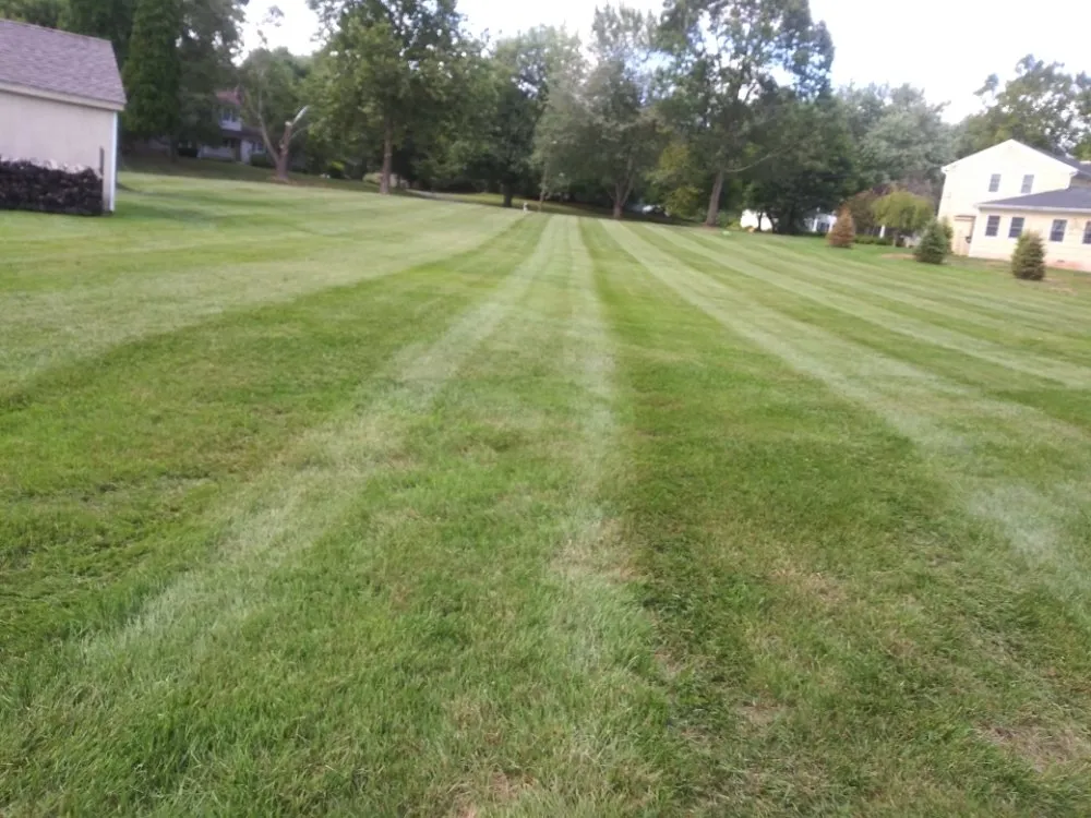 Affordable landscape design for beautiful yards in Flemington, NJ by Small Landscaping