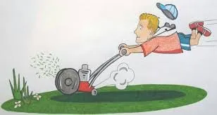 Local yard maintenance for year-round maintenance in Watervliet, NY by Small Lawn Guy