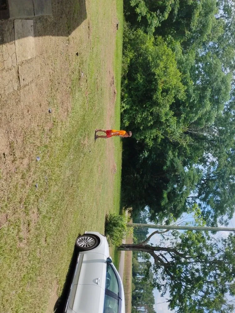 Custom yard cleanup service experts serving Goshen, AL - Small Lawn Service