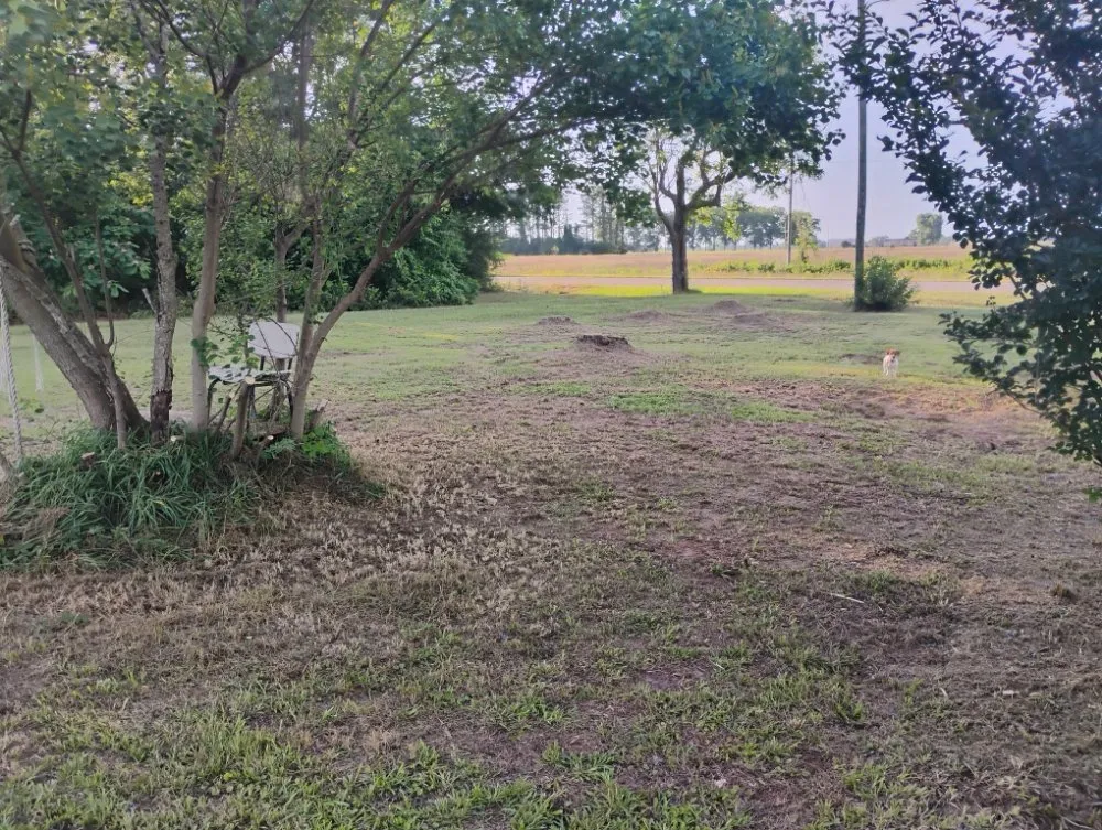 Expert yard maintenance for year-round maintenance across Goshen, AL - Small Lawn Service