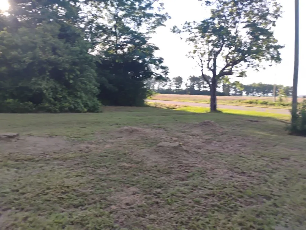 Professional yard cleanup service experts serving Goshen, AL - Small Lawn Service