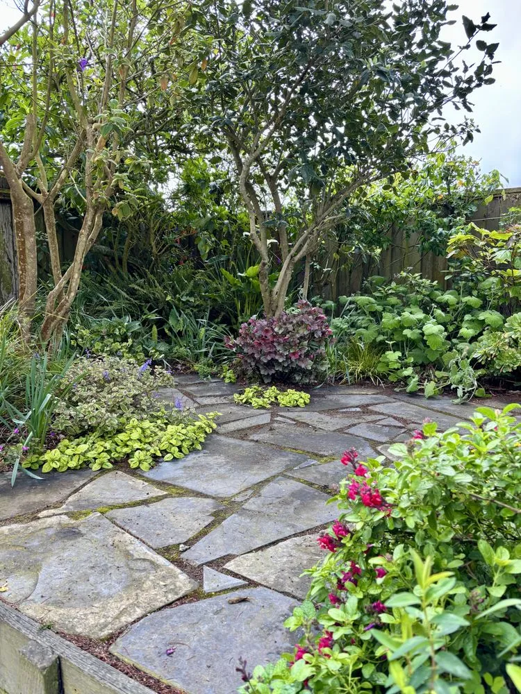 Custom landscaping services with custom design in San Francisco, CA by Small Spot Gardens