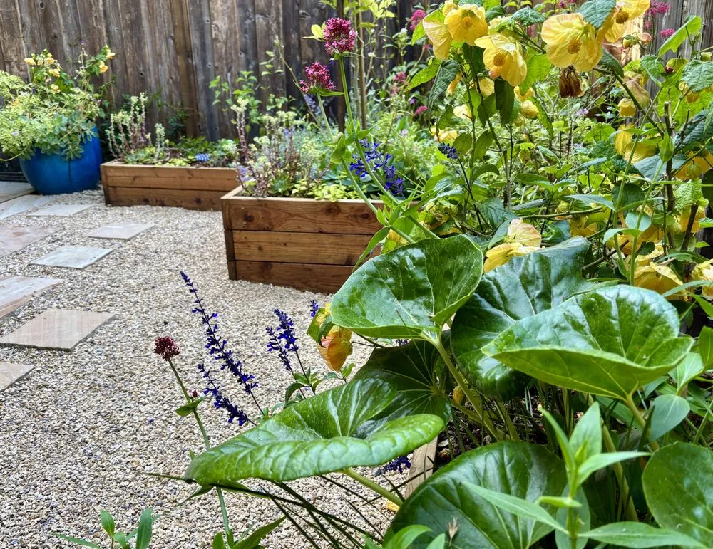 Local lawn mowing service in San Francisco, CA by Small Spot Gardens