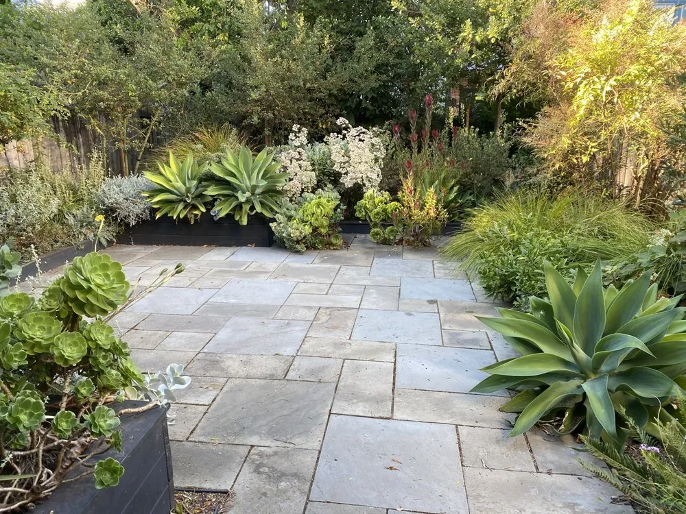 Custom outdoor landscaping in San Francisco, CA by Small Spot Gardens