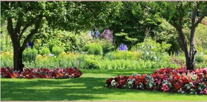 Professional lawn care service in Madison, NJ by Small That's All Landscaping