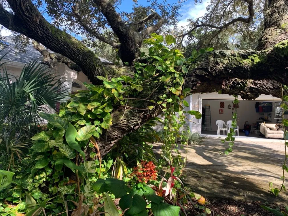 Top-rated garden landscaping for beautiful yards in Inverness, FL by Small That's All Weeding and Planting Service