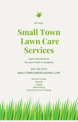 Small Town Lawn Care