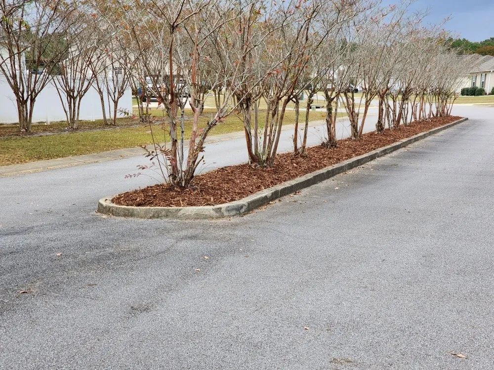 Reliable outdoor landscaping in Rainbow City, AL by Small Town Lawn Care