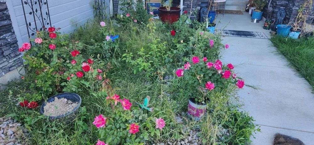 Trusted garden landscaping experts serving Kuna, ID - Small Town Lawn Service