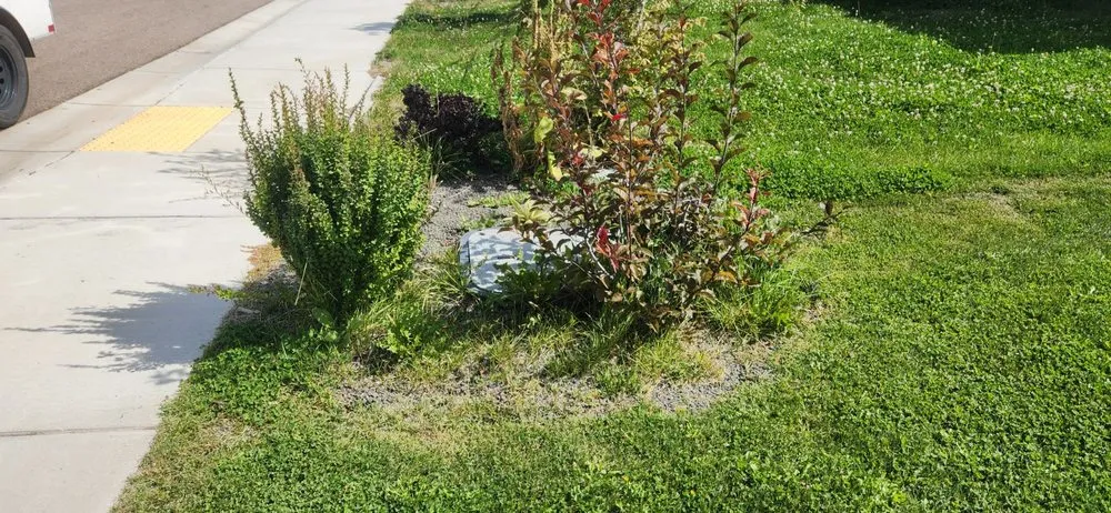 Top-rated landscape installation experts serving Kuna, ID - Small Town Lawn Service