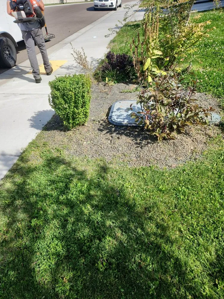Expert yard cleanup service in Kuna, ID - Small Town Lawn Service