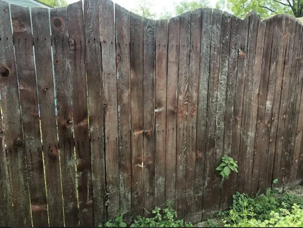 Trusted landscape design in Waco, TX - Small Town Power Washing & Yard Maintenance