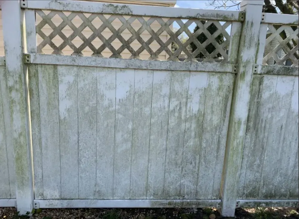 Trusted landscape design in Waco, TX by Small Town Power Washing & Yard Maintenance