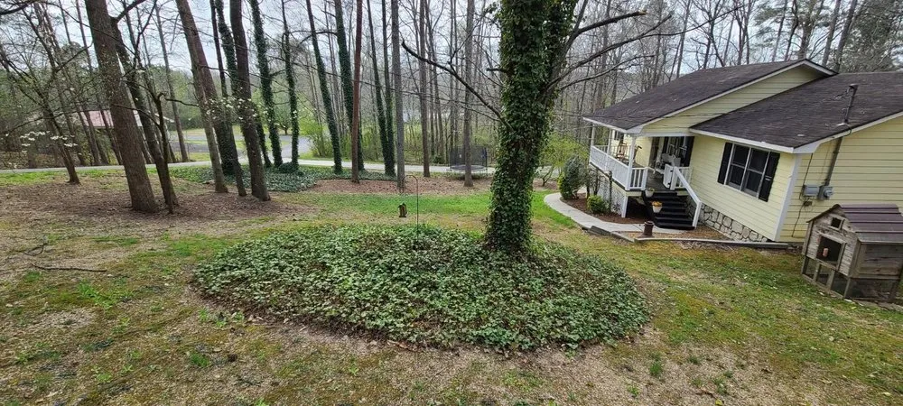 Top-rated lawn mowing service experts serving Rocky Face, GA - Small Town Solutions