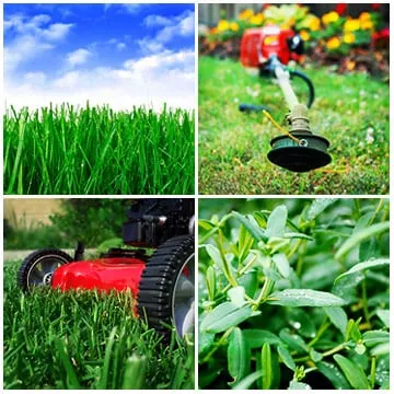 Smalley and Son Landscaping Logo