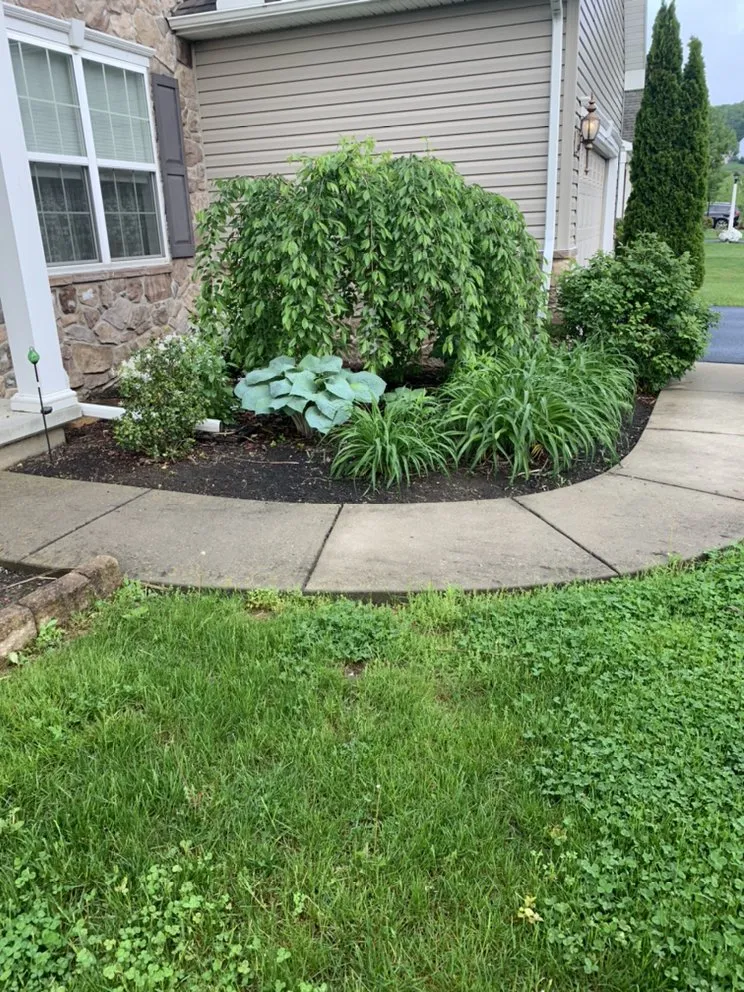 Trusted yard cleanup service in Mechanicsburg, PA - Smalley’s Lawn Care