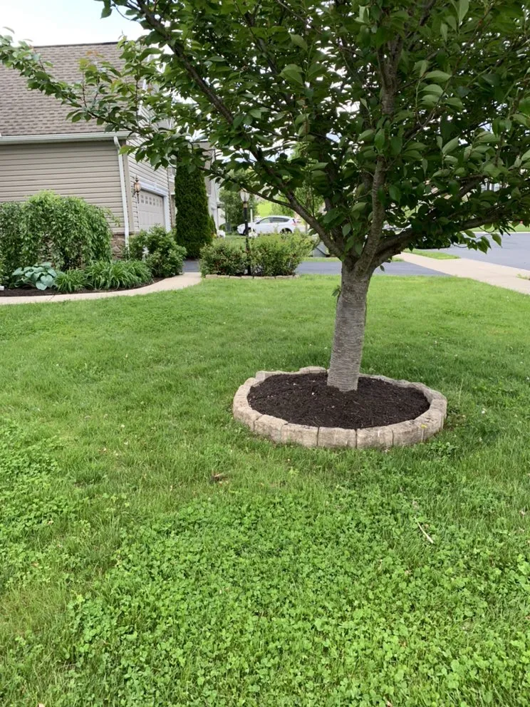 Expert landscaping services in Mechanicsburg, PA - Smalley’s Lawn Care