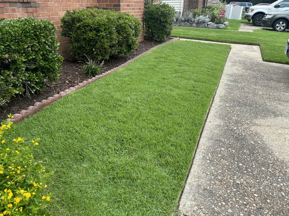 Professional yard cleanup service experts serving Virginia Beach, VA - Smalls Detail Landscaping
