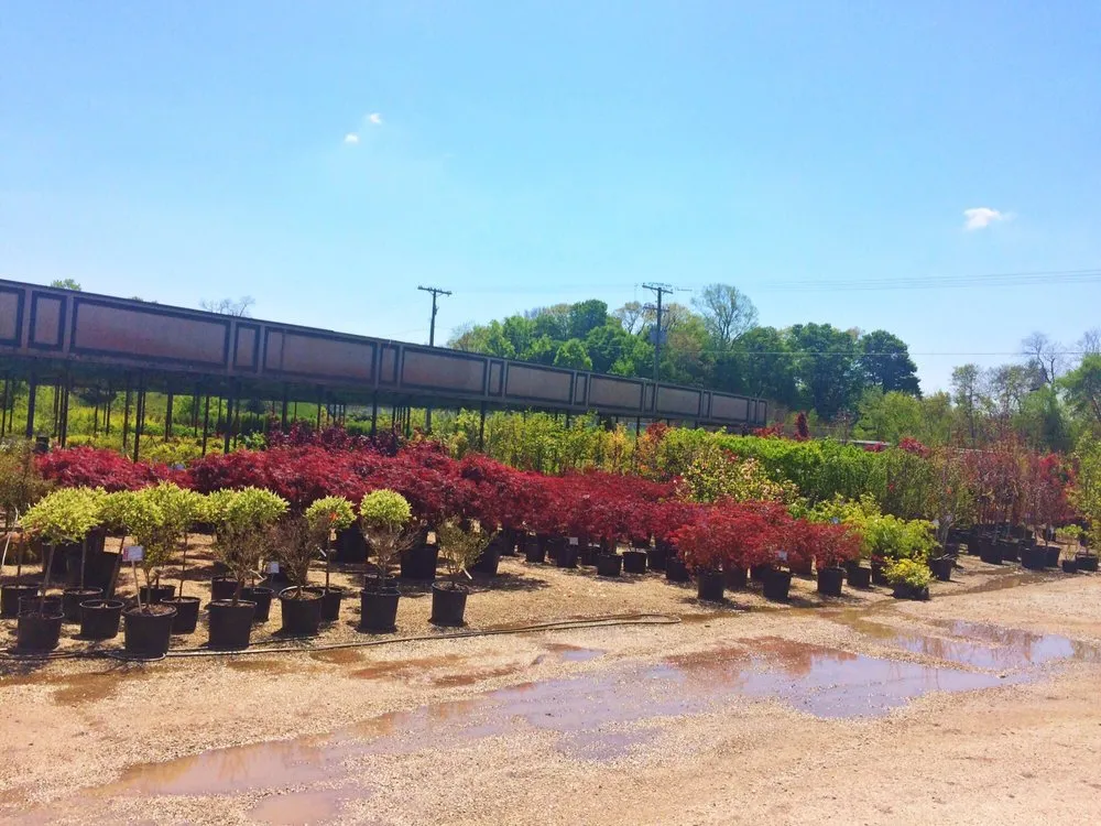 Professional lawn mowing service in La Porte, IN - Small's Garden Center